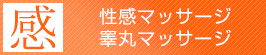性感マッサージ・睾丸マッサージ